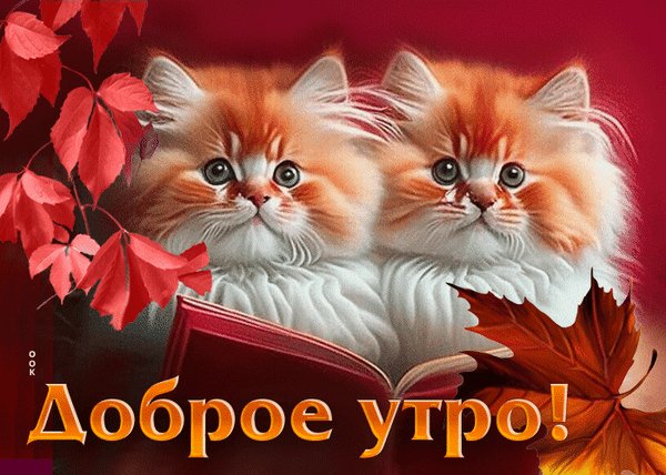 Анимированная открытка доброе утро (1) (1)