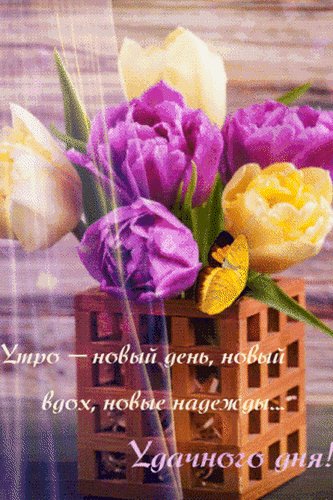 Анимированная открытка удачного дня (2)