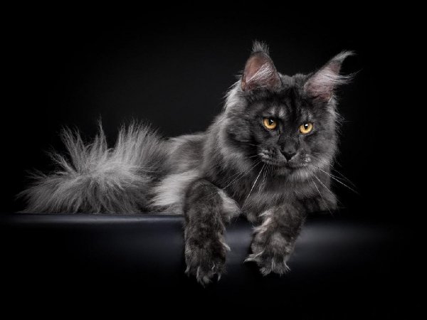 Родионов Евгений. Остров. Проект &quot;Робинзон&quot;