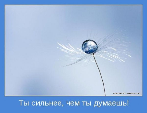 Ты сильнее, чем ты думаешь...
