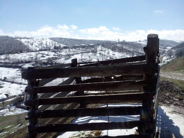 T T - QIQIZ DERDii CHEKEN OGLAN