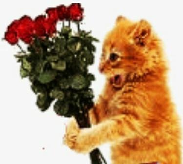 Гранды. - С днём рождения братуха !