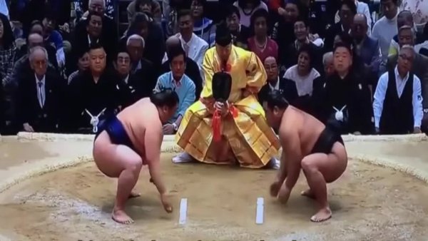 Смехотвор - Воскресная схватка двух Якодзун (Йокодзун)