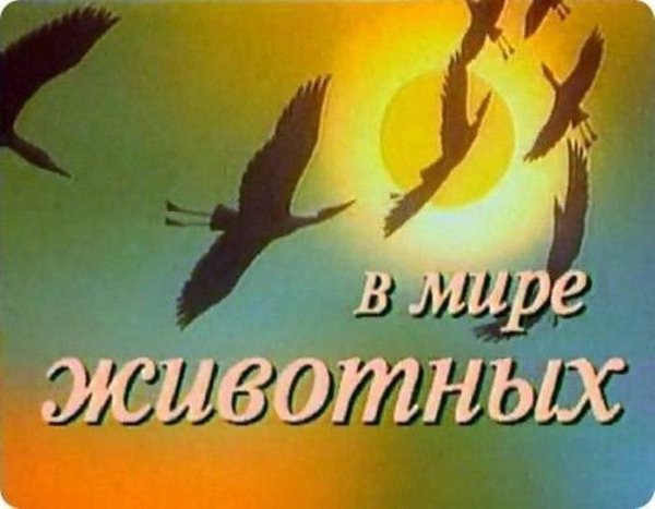 Музыка из TV - В мире животных