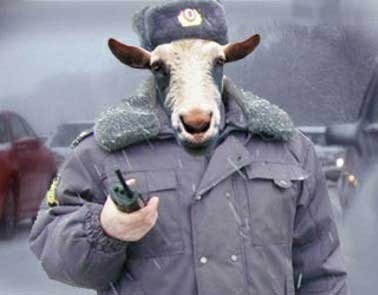 Звонок из полиции - Кошка кушал?