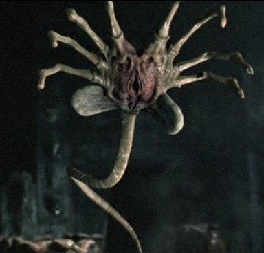 ALIEN - ЛИЦЕХВАТ