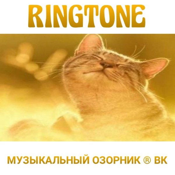 RINGTONE - ВОЗЬМИ ТРУБУ, САМАРА НА СВЯЗИ... (ATC - La La La)