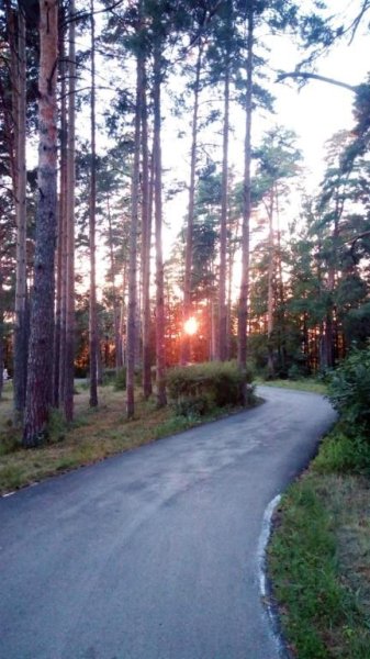 Бакджар Токторов - буй буй буй