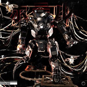 SHADXWBXRN - DYNAMIC