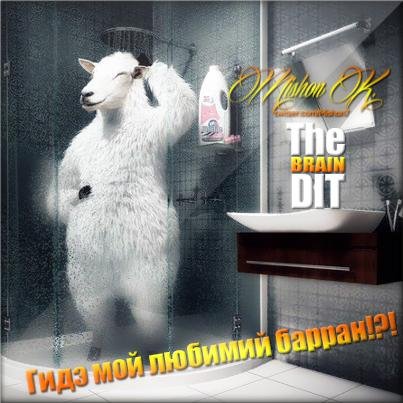 Mishon K. - Гидэ мой любимий барран слова Олега Брейна