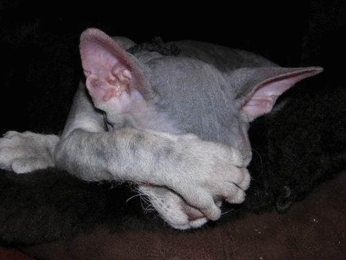 Про хиты лета 2010 - Па Падзаебало 