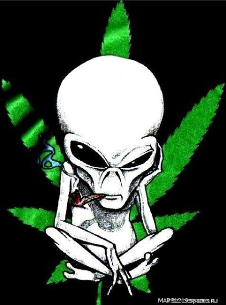 Ебать мою клавиатуру Вот это смска - 