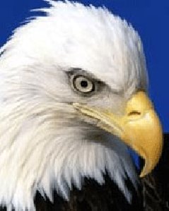 Неизвестный - будильник.прик