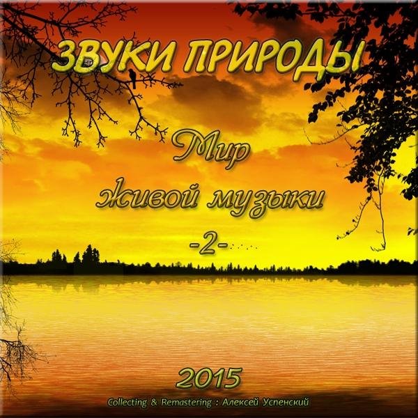 Неизвестный - На берегу очень быстрой реки