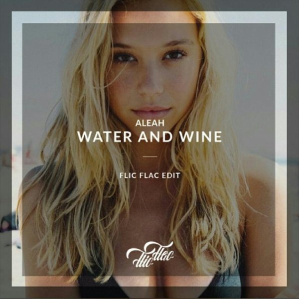 Aleah - Water and Wine (Stefan Biniak Private Edit)