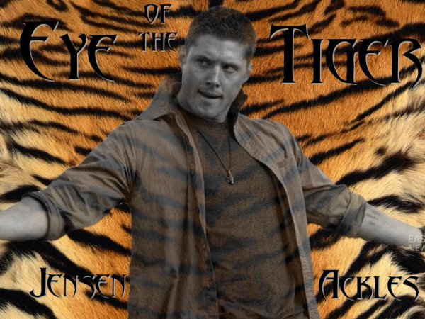 Supernatural - Eye of the tiger