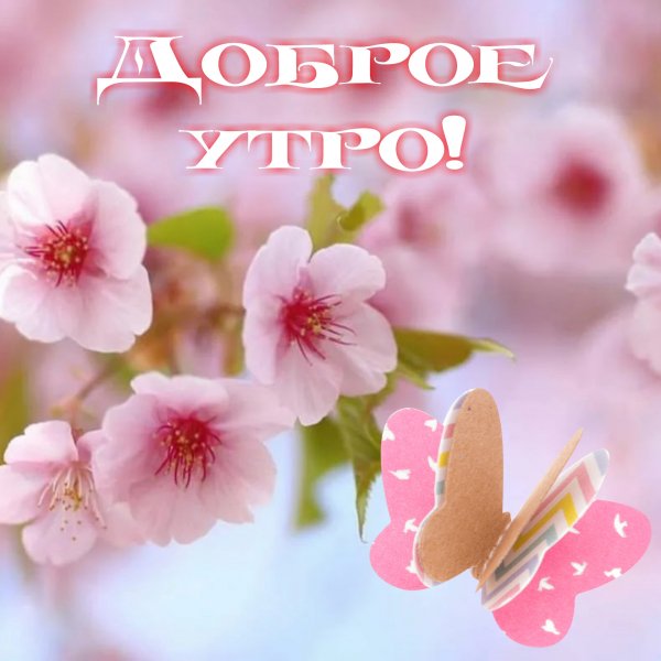 Доброе утро