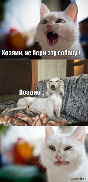 Kogda-uzhe-slishkom-pozdno