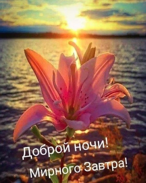 marinabazheno 20200526 4