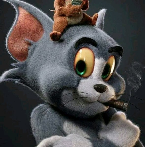 FB IMG 16681175984629899