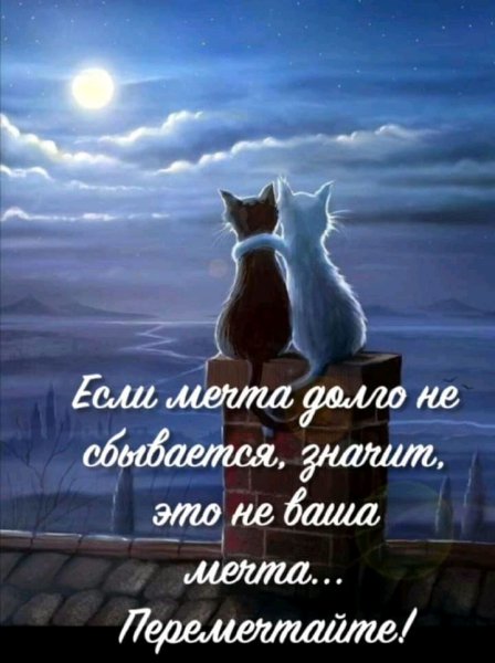 FB IMG 16261653460902993