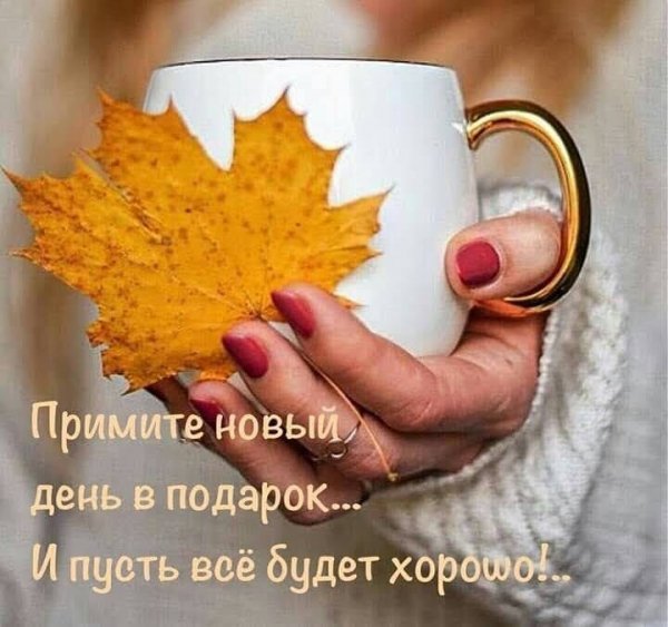 elkonatalia 20201026 11