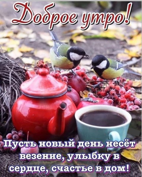 marinaalekminskaya 20201106 5