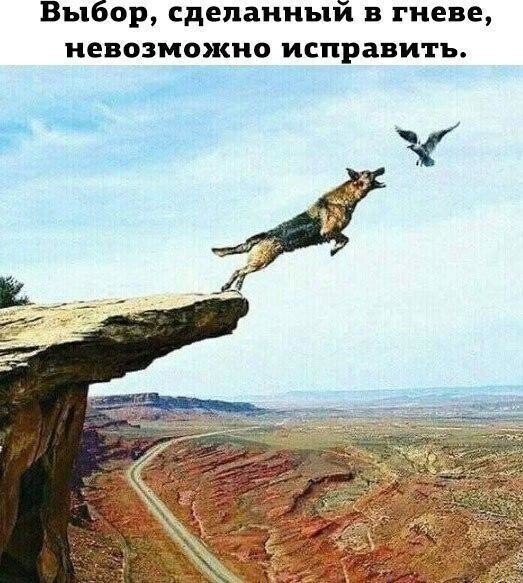 image - 2021-07-26T075944.284