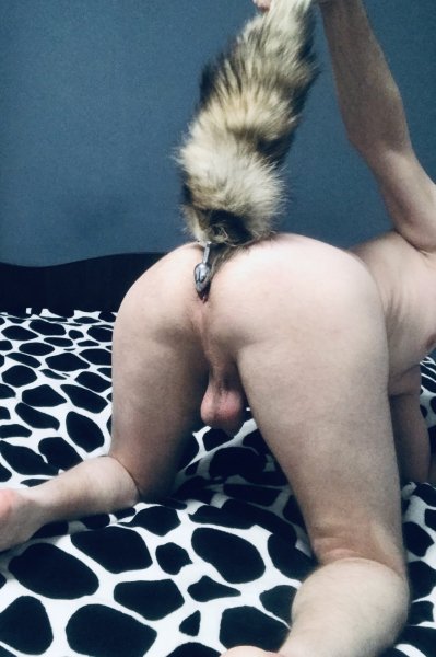 Анальная пробка