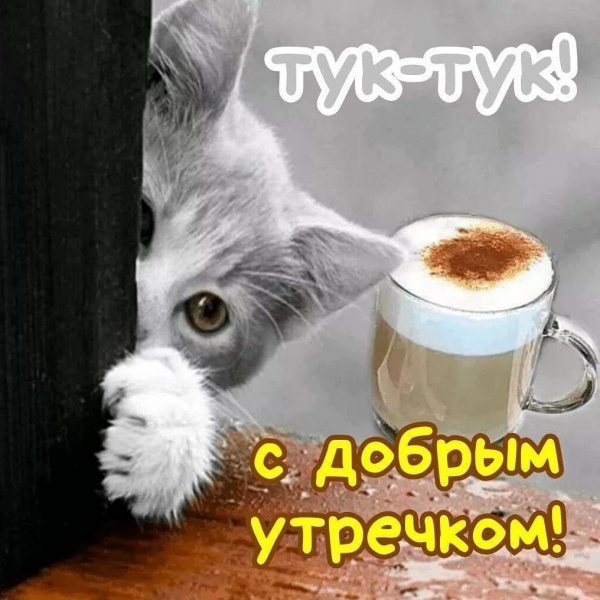 natakoval9873157 20201203 12