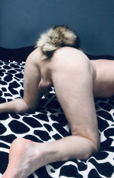 Вставил хвостик