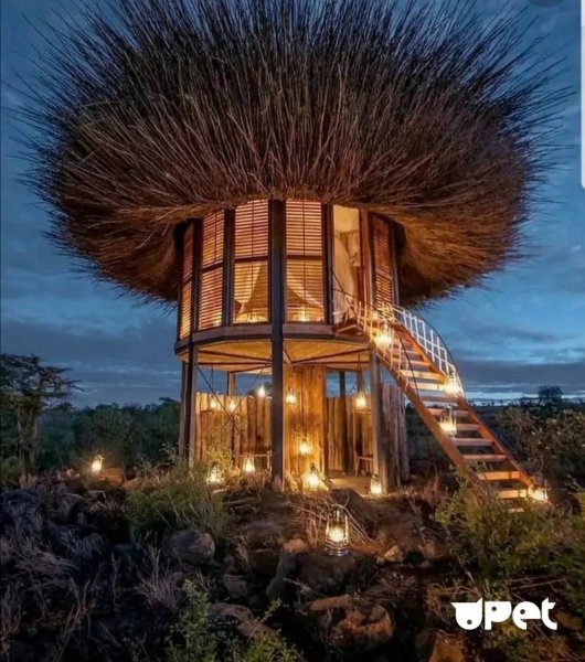 IMG-af064e4250165911acd453ac20f28f32-V