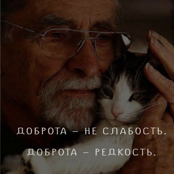 IMG 20200725 160006 889