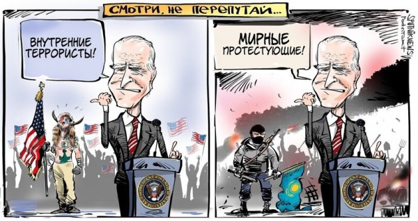 Ватные вбросы..