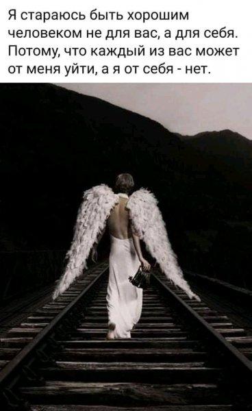 FB IMG 1645637933461405