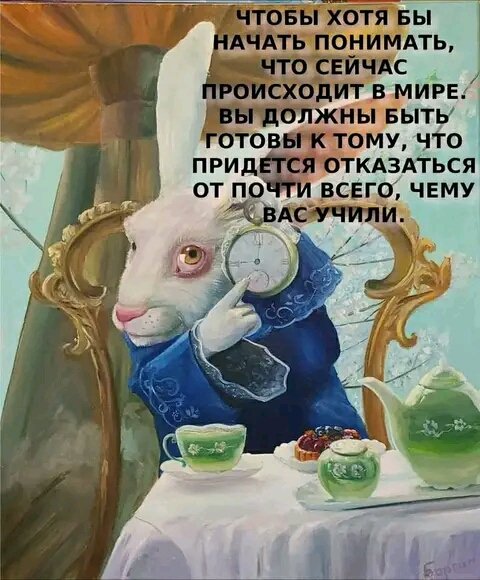 IMG 17141260928761090