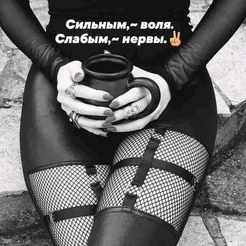 FB IMG 1723715993457