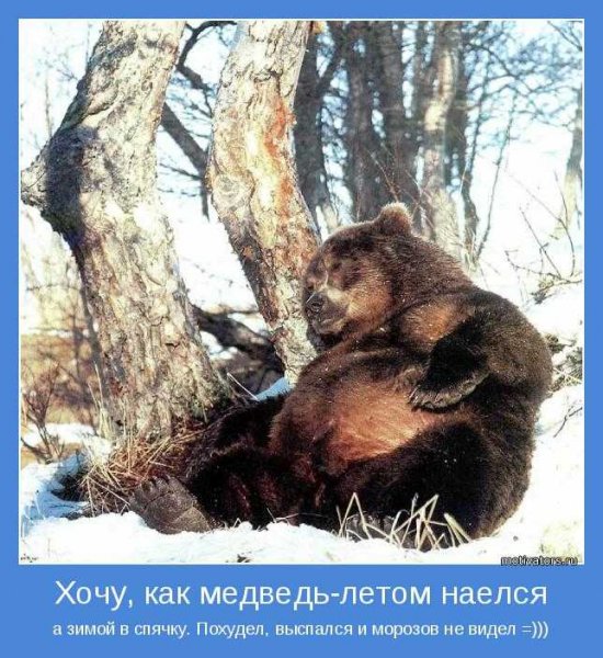 И морозов не видел