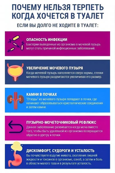 Про туалет..