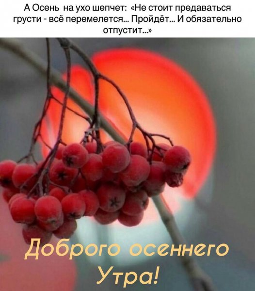 marinaalekminskaya 20201106 4