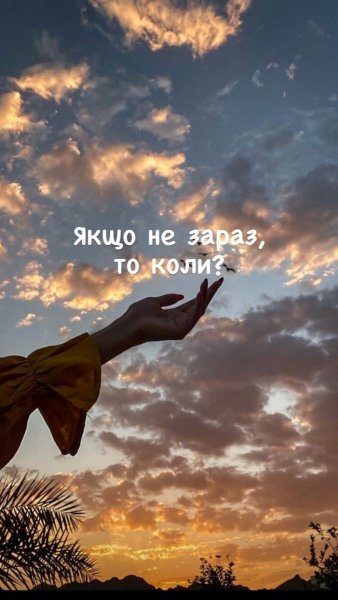 D85aab63a42d576689967725f24e217d