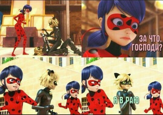 c0f60115b18d270339b72a08e1e82cb4