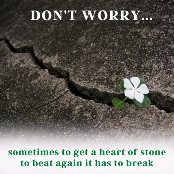 FB IMG 16663595403837571