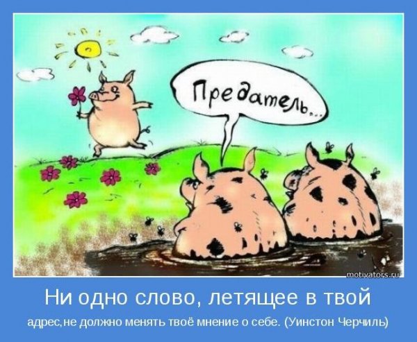 motivatori interesnie