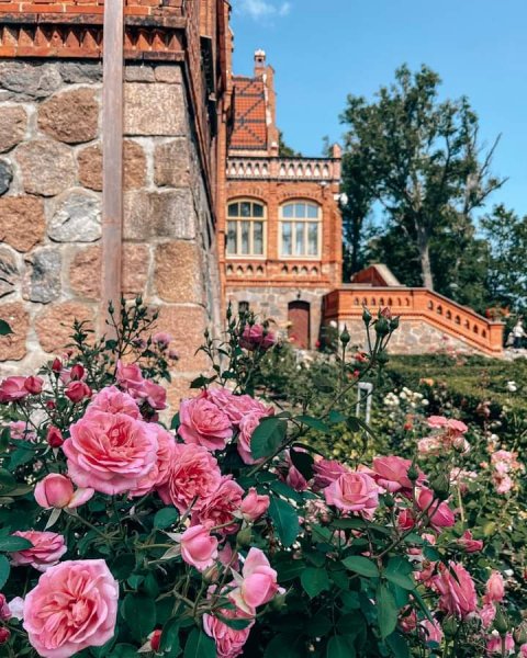 FB IMG 1684439493505