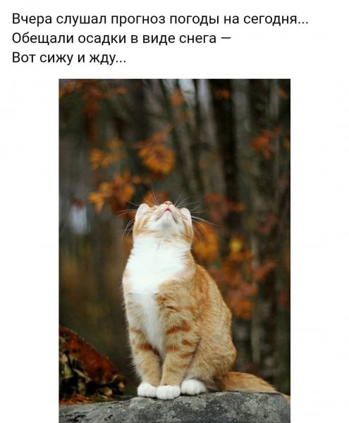 tatiana.4834 20201029 17