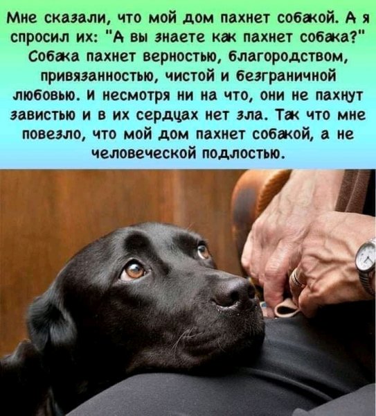 FB IMG 16374988918219760