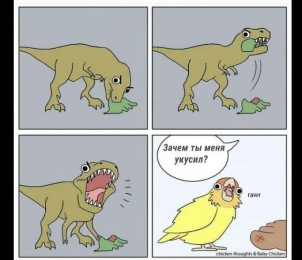 d0bbd183d187d188d0b8d0b5-d188d183d182d0bad0b8-d0b8-d0bcd0b5