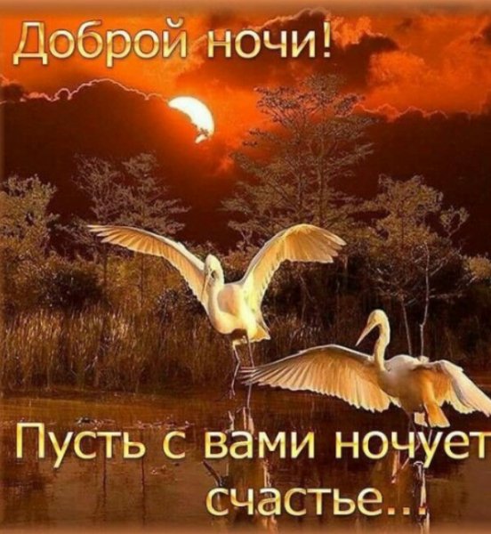 IMG 20200726 234308 719