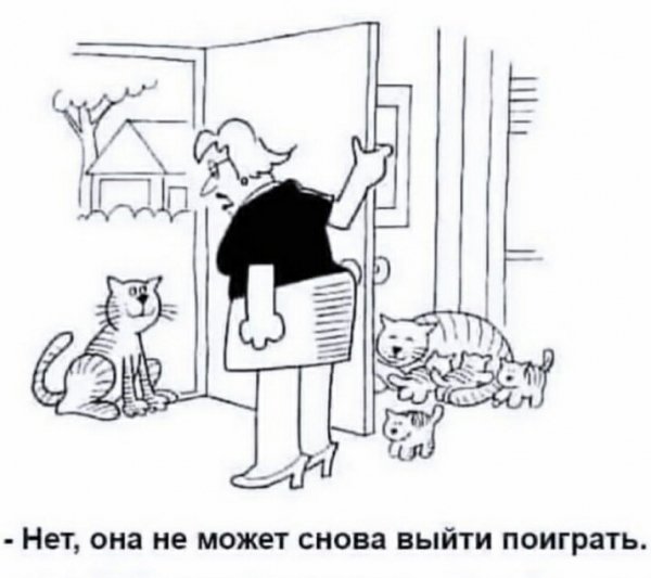 Весомые причины..